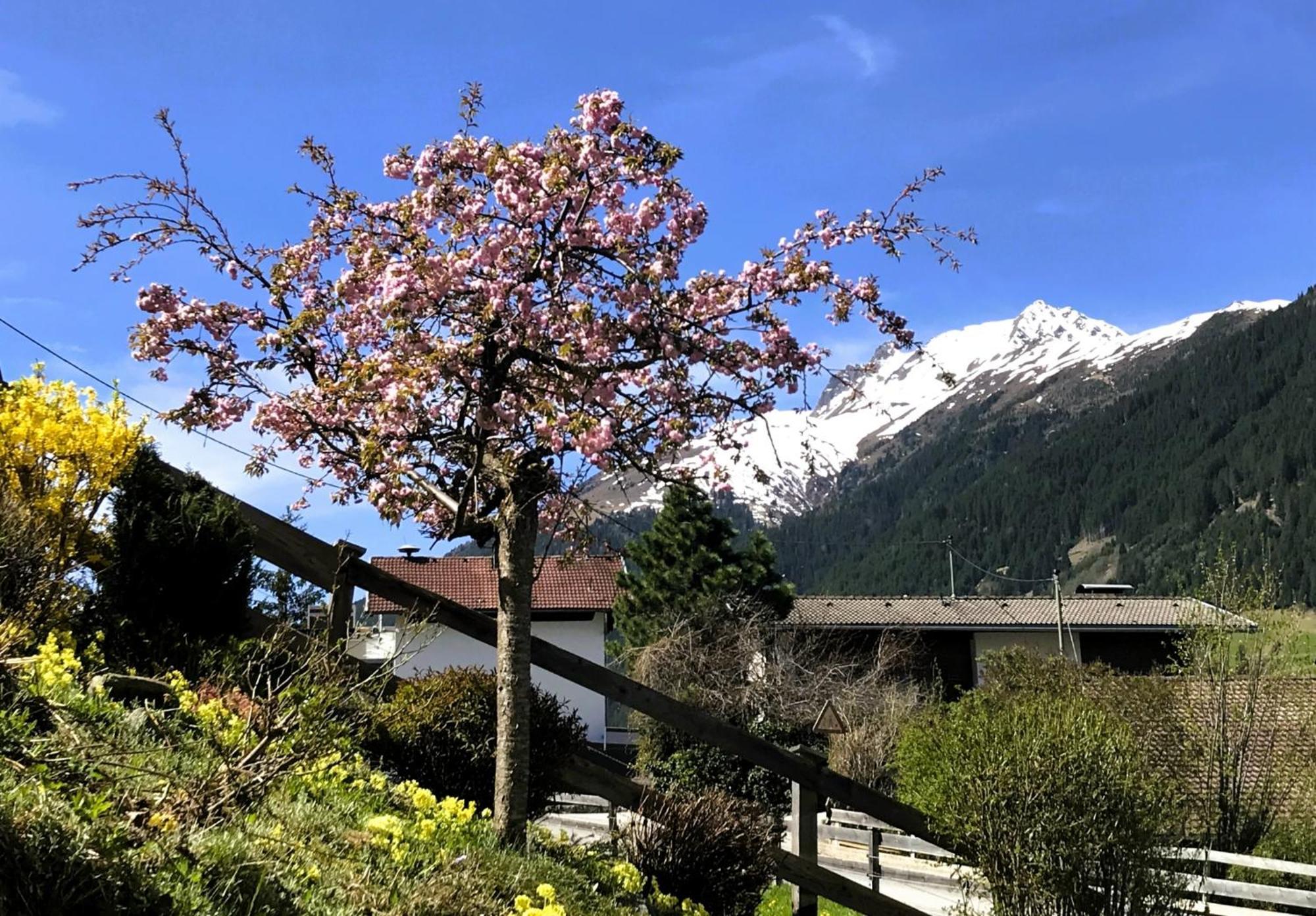 Sellraintaler Auszeit 1 Appartement *